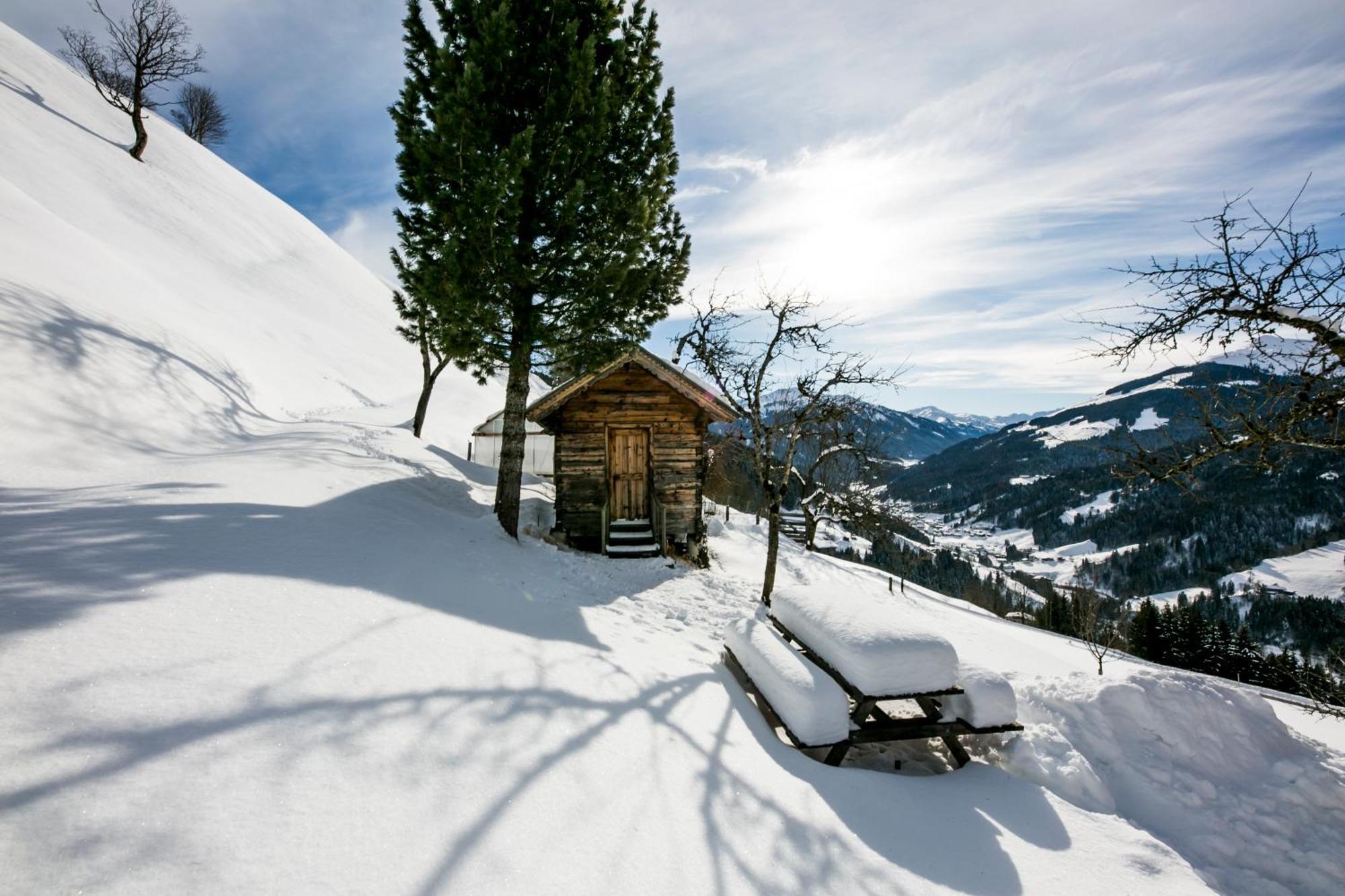 Siedlerhof Lägenhet Hopfgarten im Brixental Exteriör bild