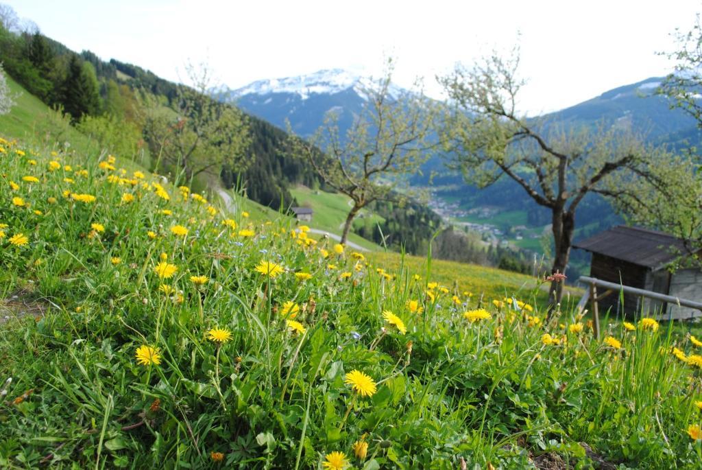 Siedlerhof Lägenhet Hopfgarten im Brixental Exteriör bild